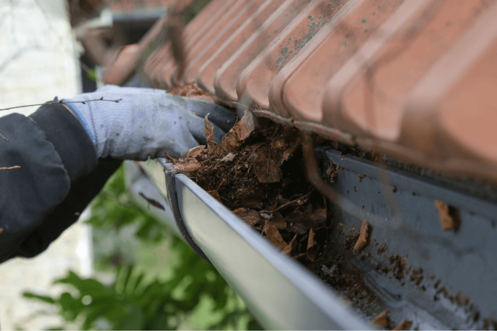 gutter cleaning