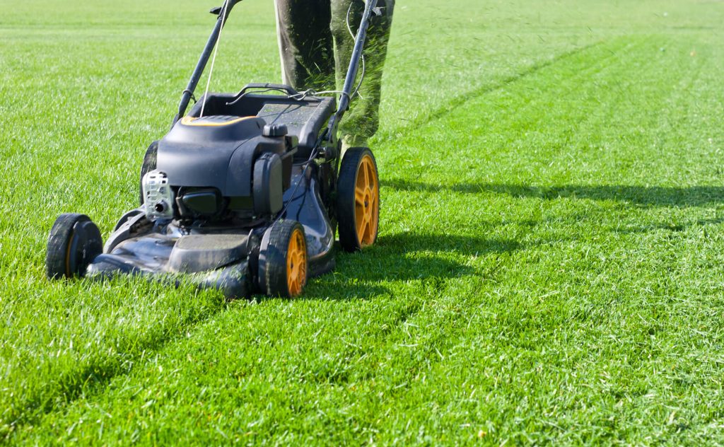 lawn mowing for NDIS
