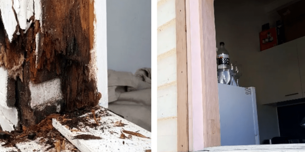 Doors, Windows, and Security Fixes
